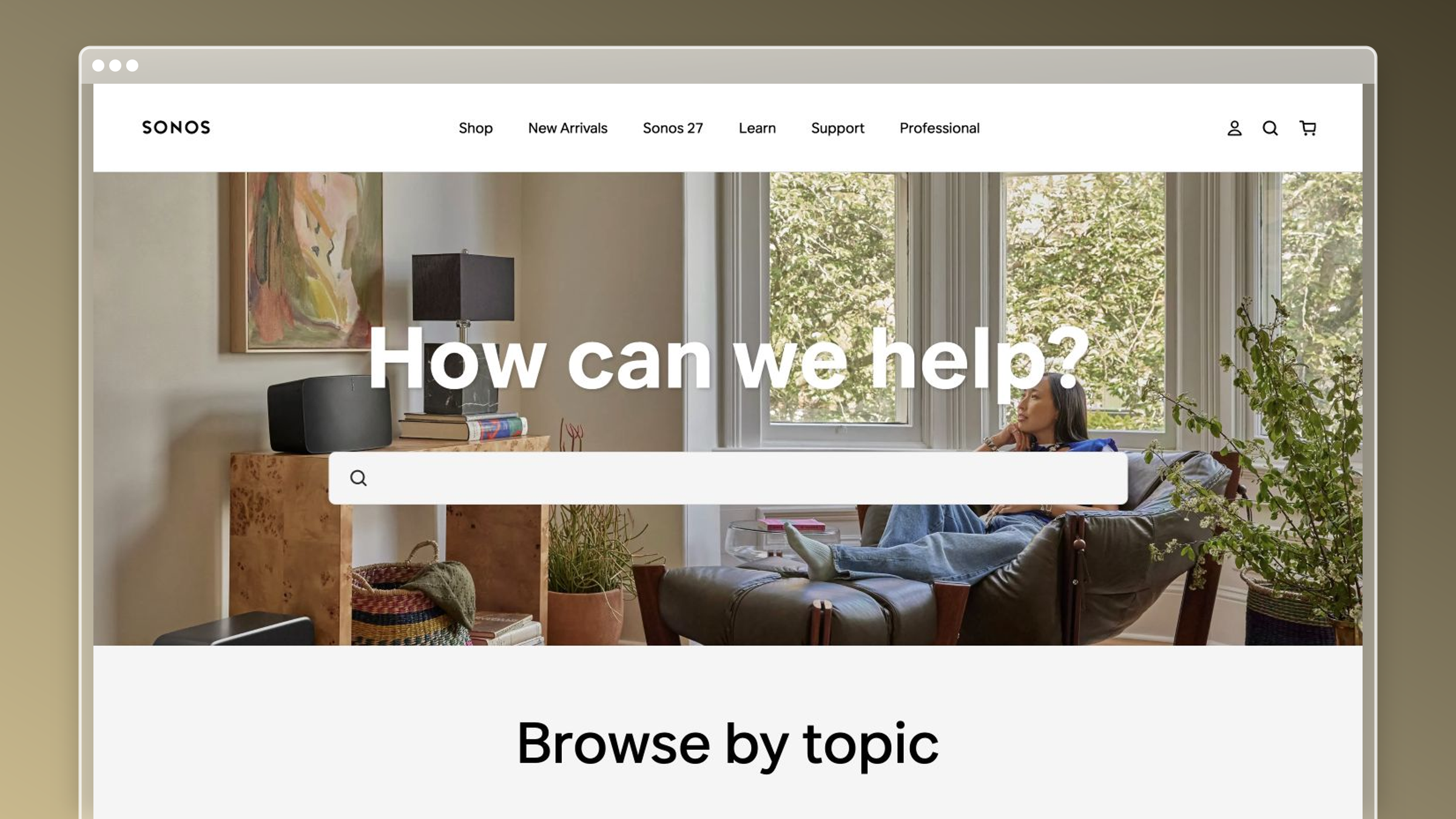 Sonos knowledge base example