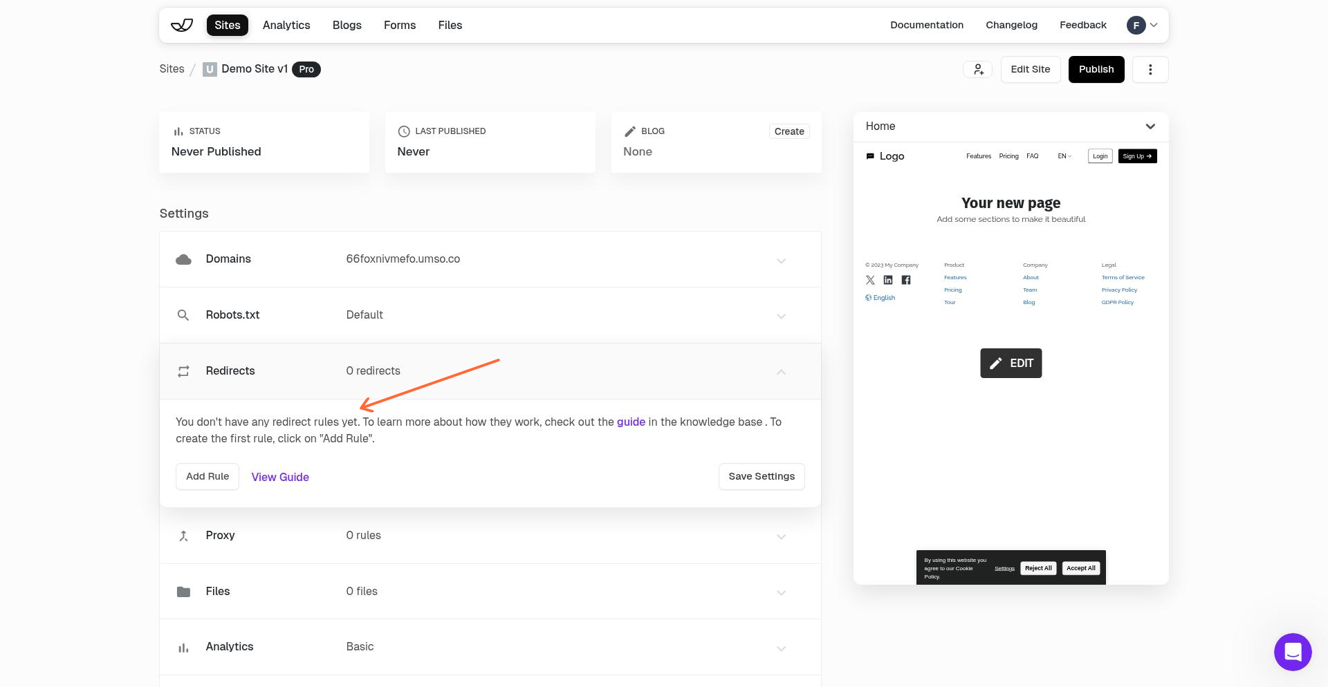 Empty redirects interface showing no redirect rules