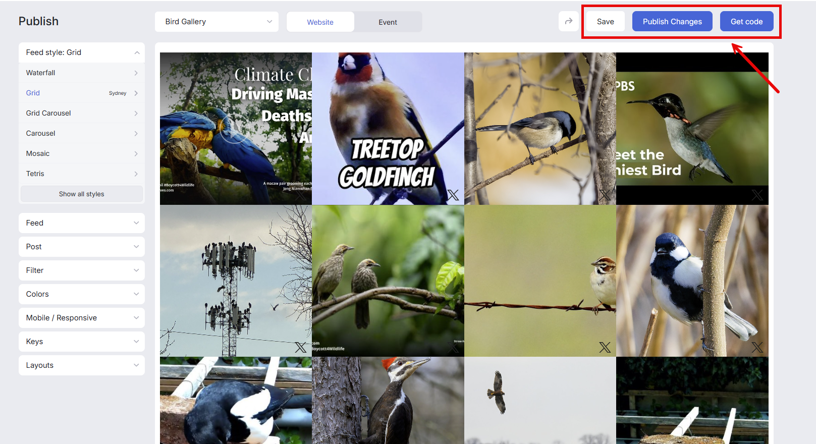 Save, Publish Changes, and Get Code buttons in Curator's Publish interface