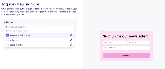 Tag settings for a newsletter sign-up form
