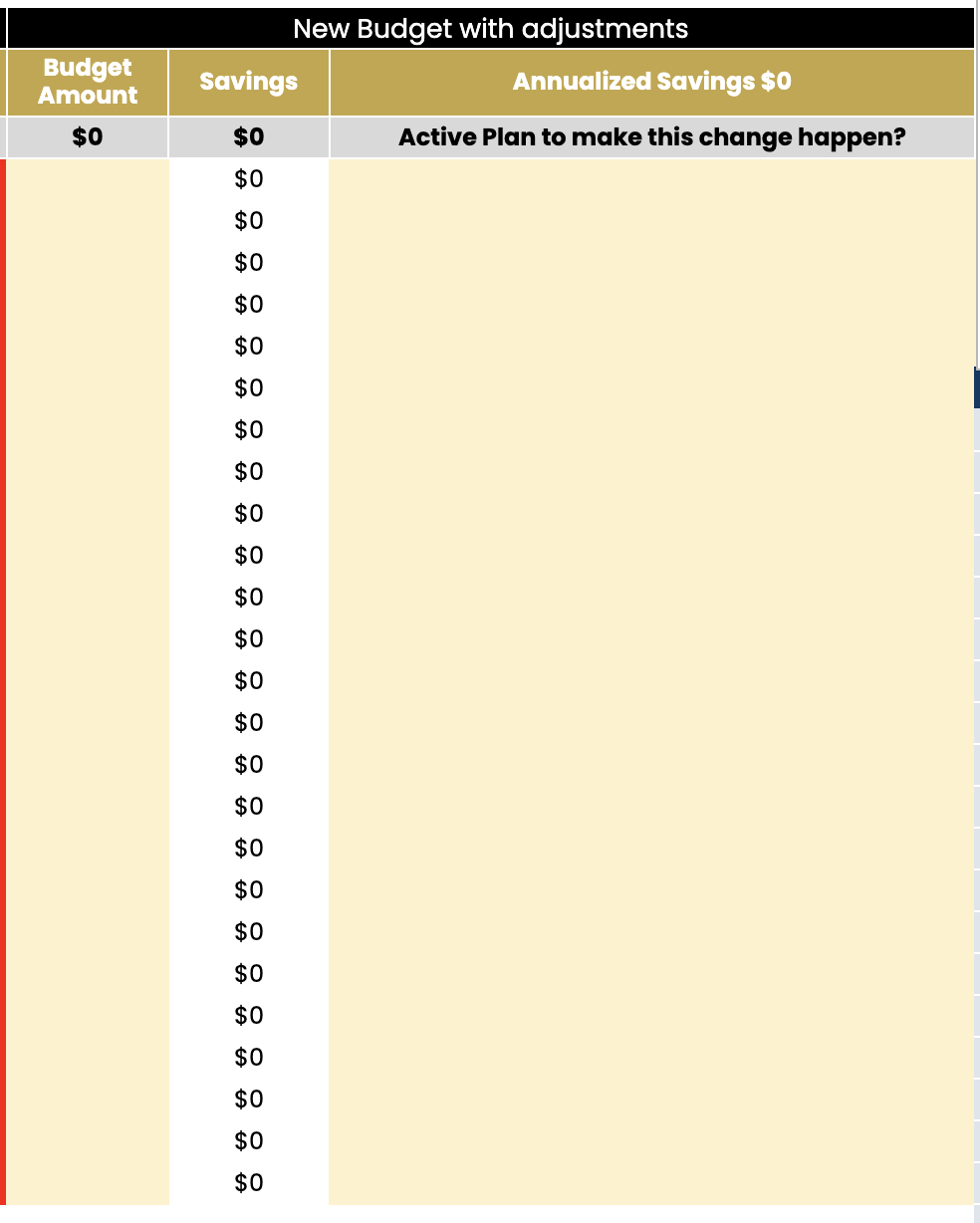 Budget amount and savings columns where you can enter your new budget targets