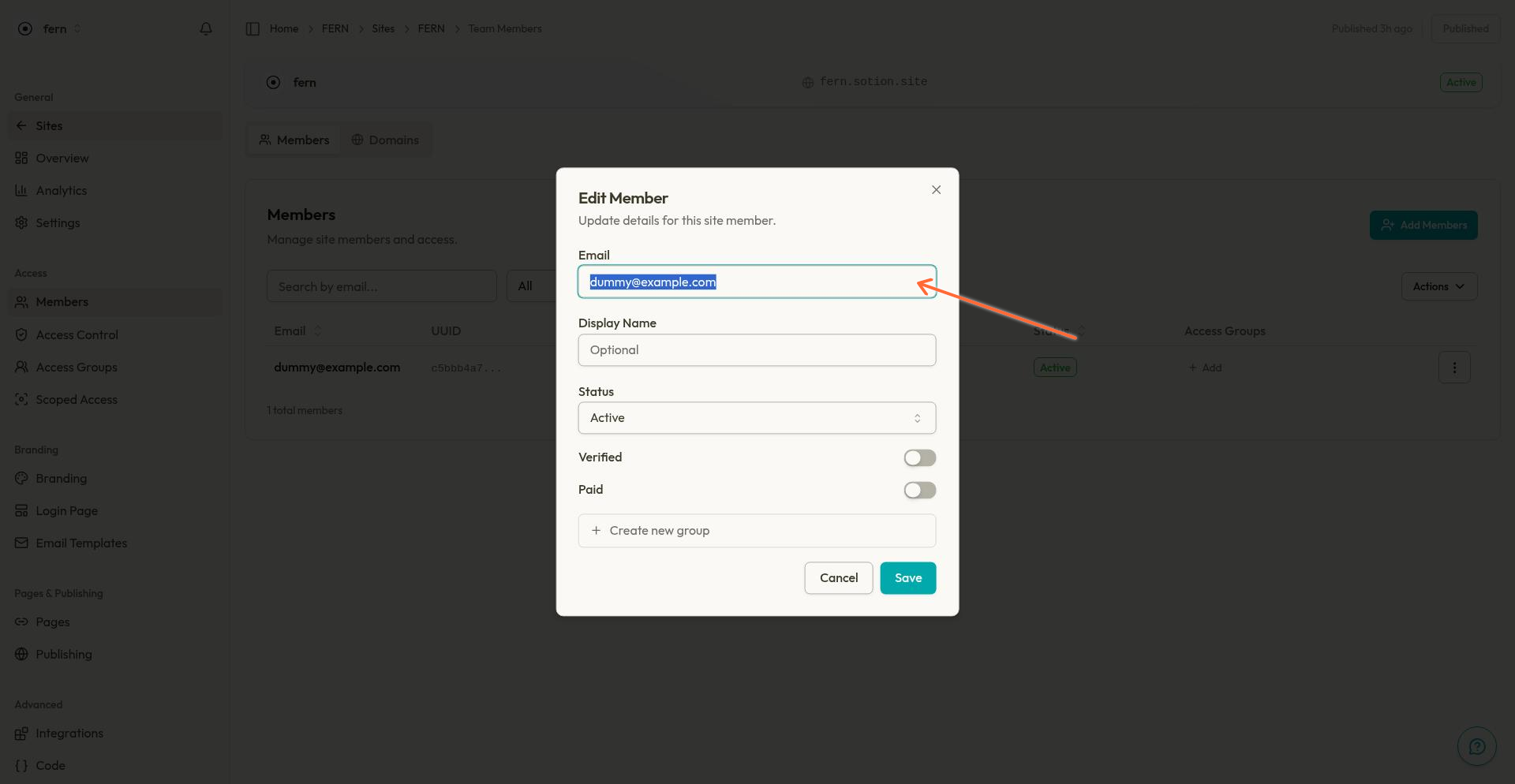 Edit member dialog showing all editable fields including email, display name, status, verified, paid, and access groups