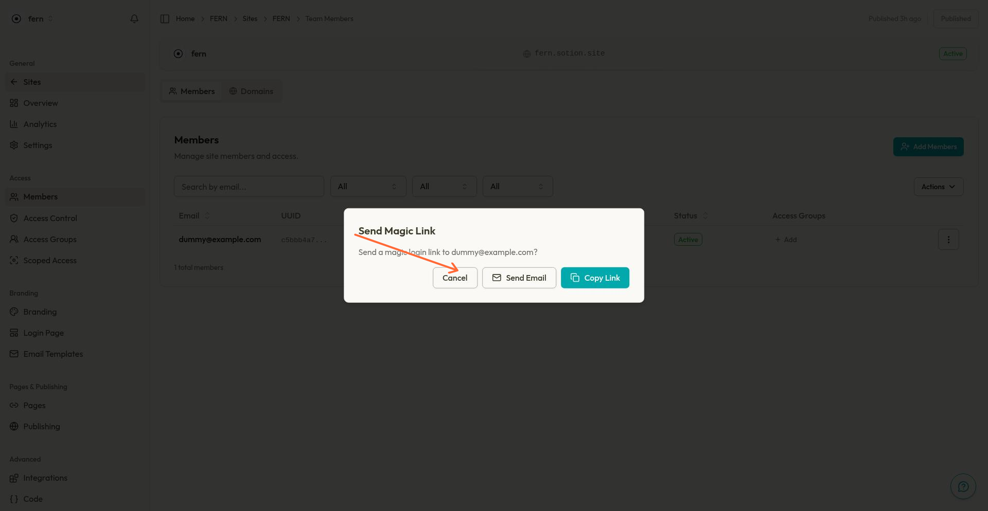 Send magic link dialog showing Copy Link and Send Email options