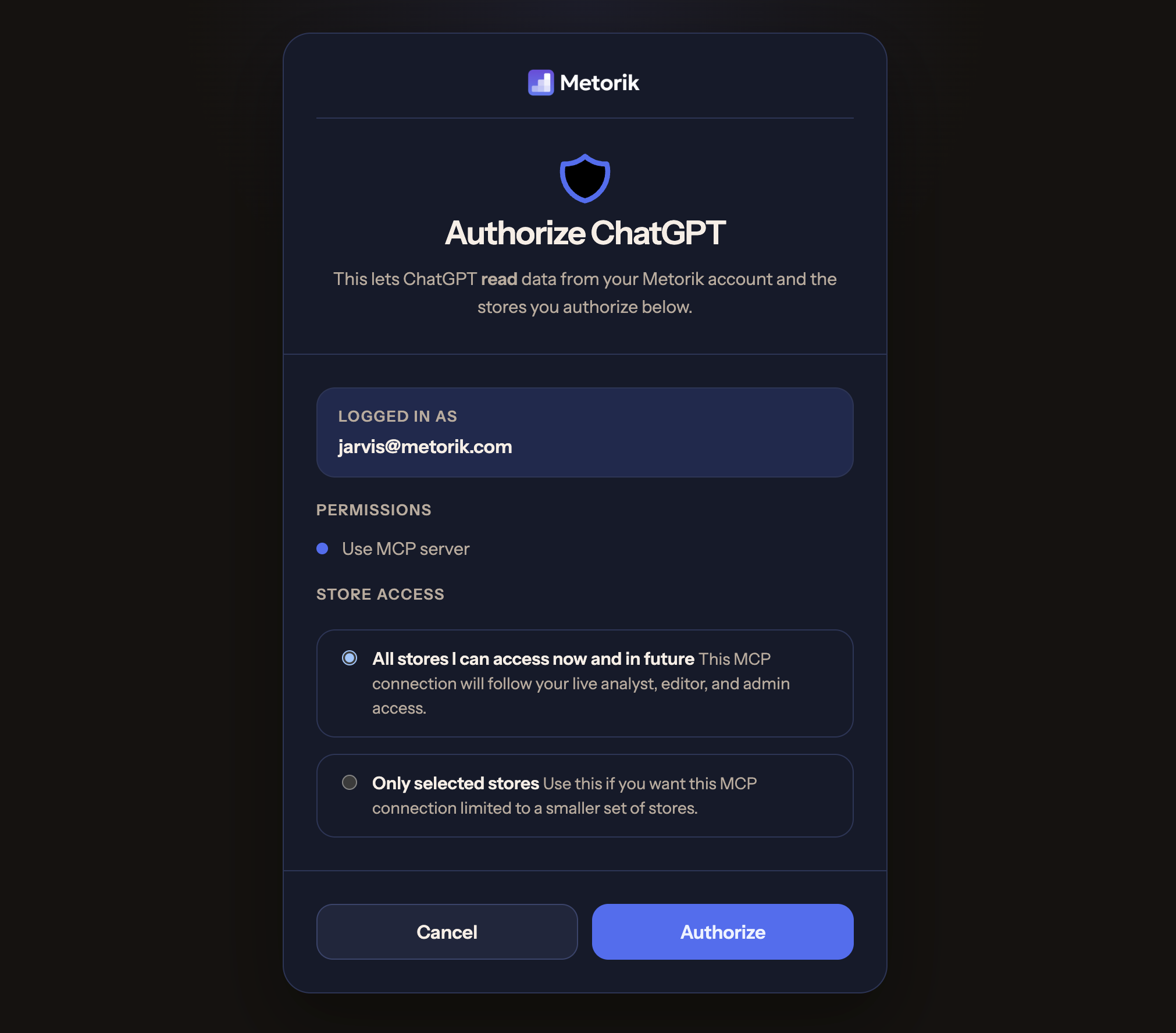 Metorik authorization screen for ChatGPT showing permissions and store access options