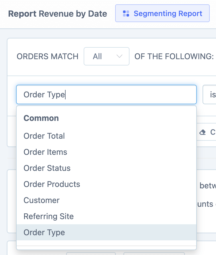 Segmenting tool in Revenue Report