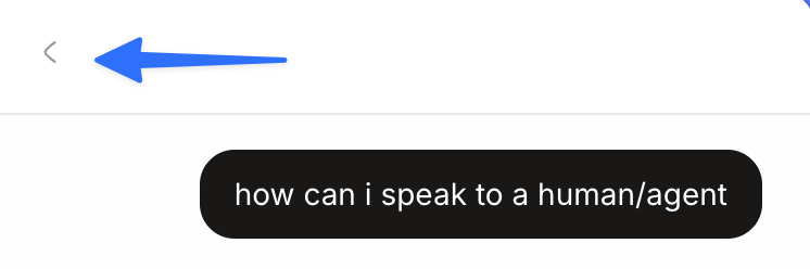 Click the back arrow in the chat window