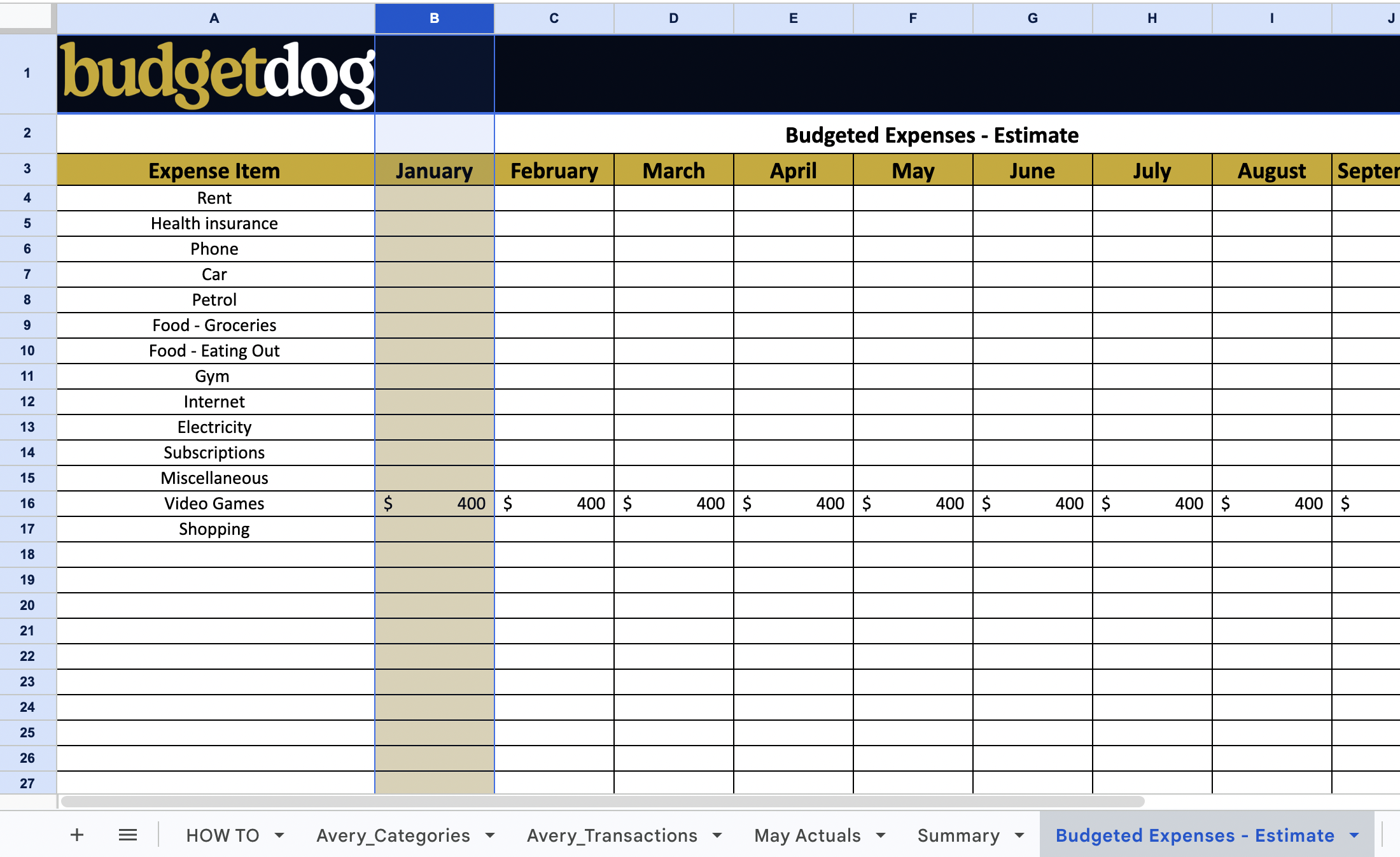 Budgeted Expenses - Estimate tab showing where to enter budget figures