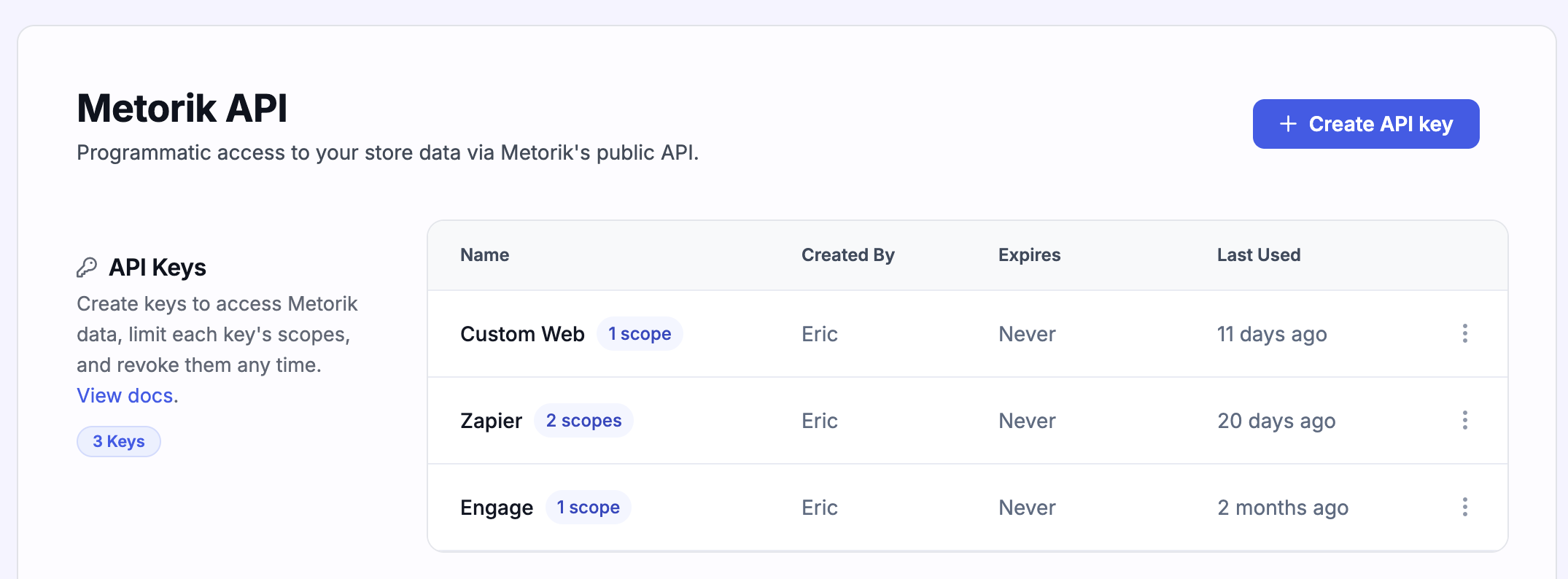 Metorik API keys page