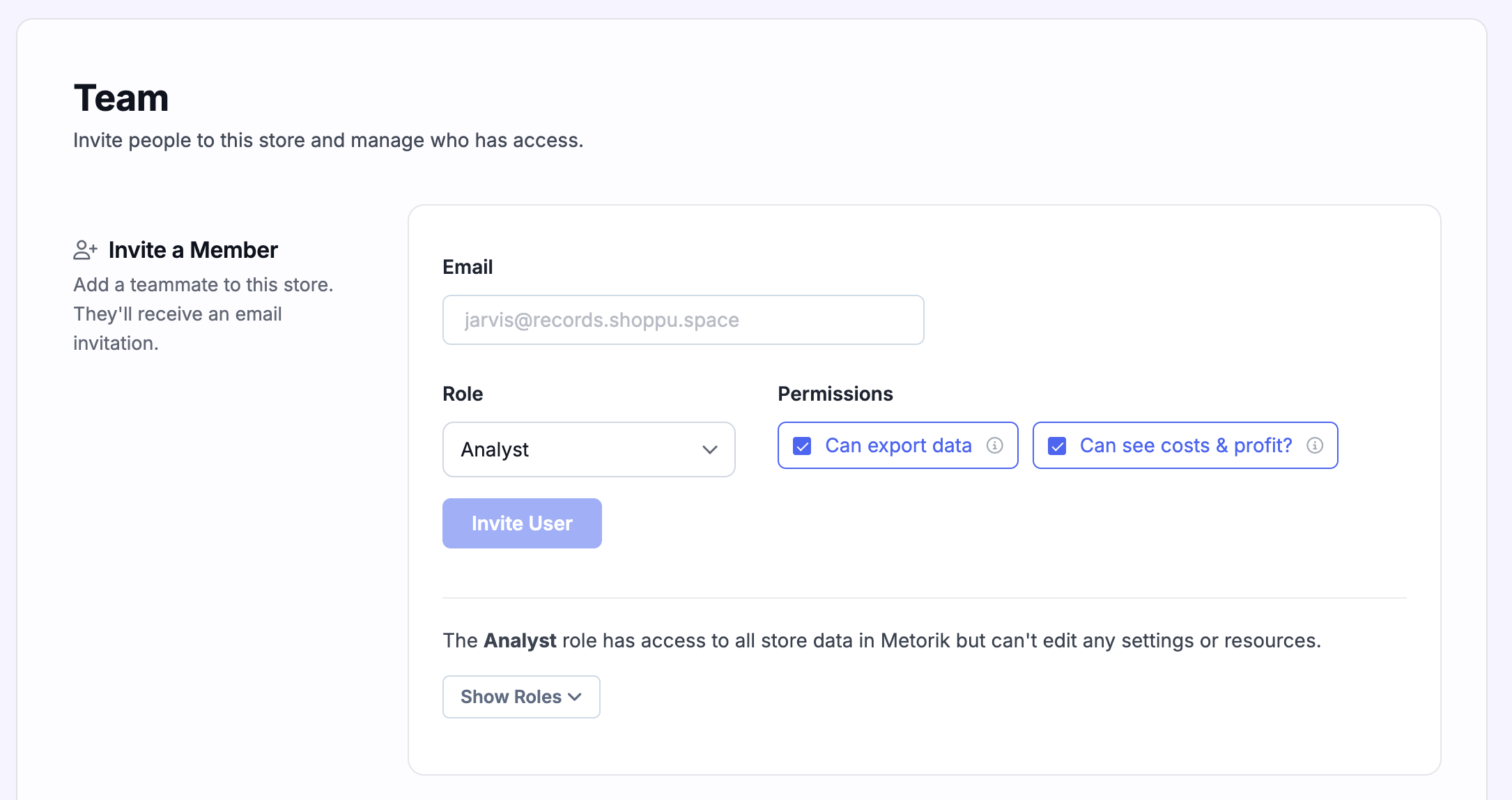 Invite a team member to Metorik with role and permissions