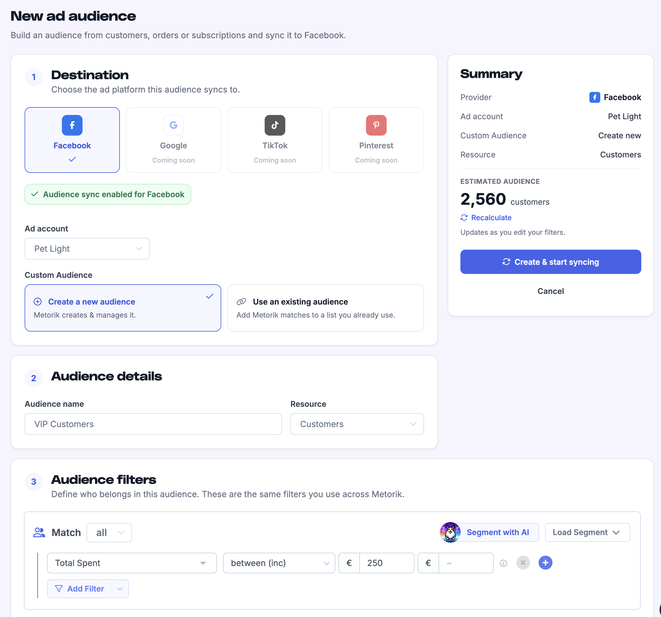 New ad audience form showing destination, details, filters, and summary sidebar