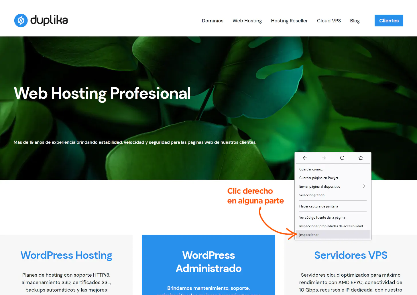 como-usar-google-lighthouse.webp