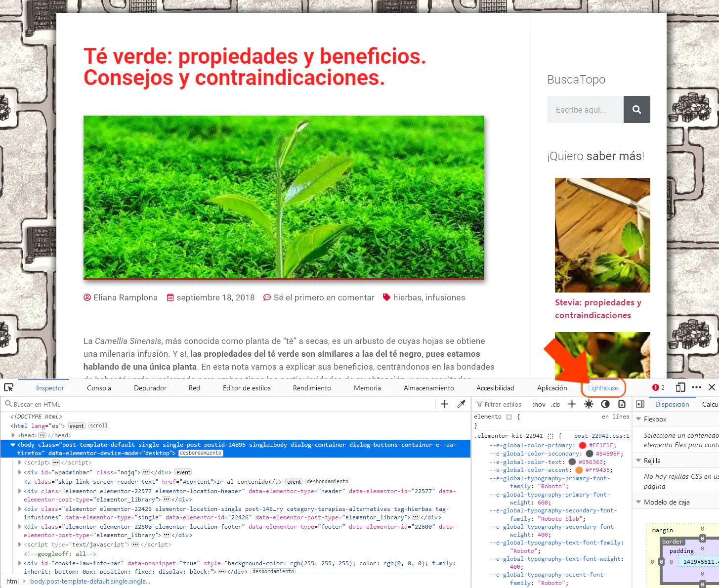 google-lighthouse-devtools-1.webp