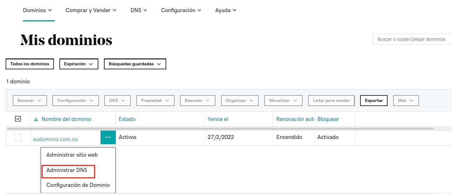 opcion-seleccionar-dns.png