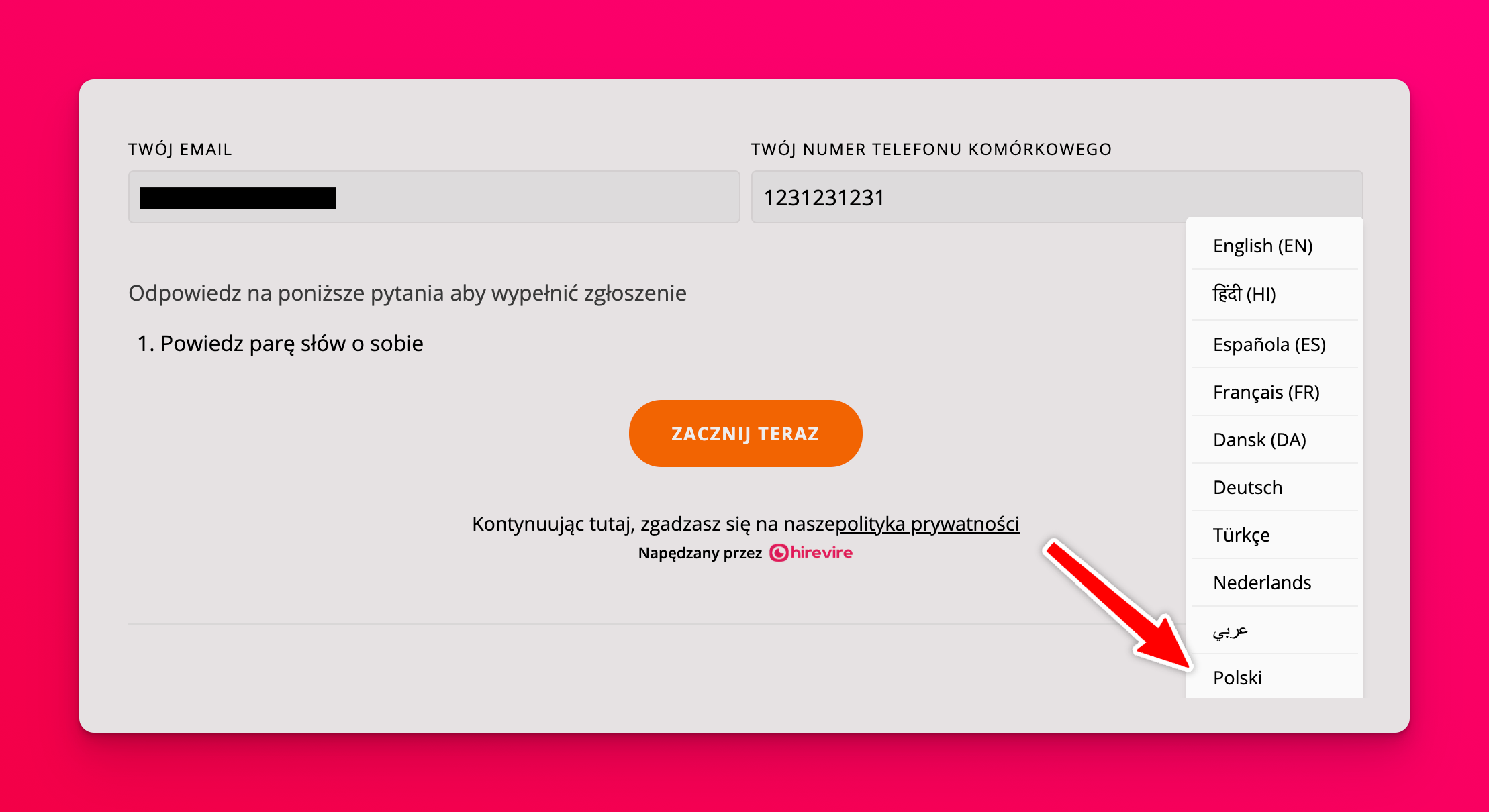 Polish translated application page