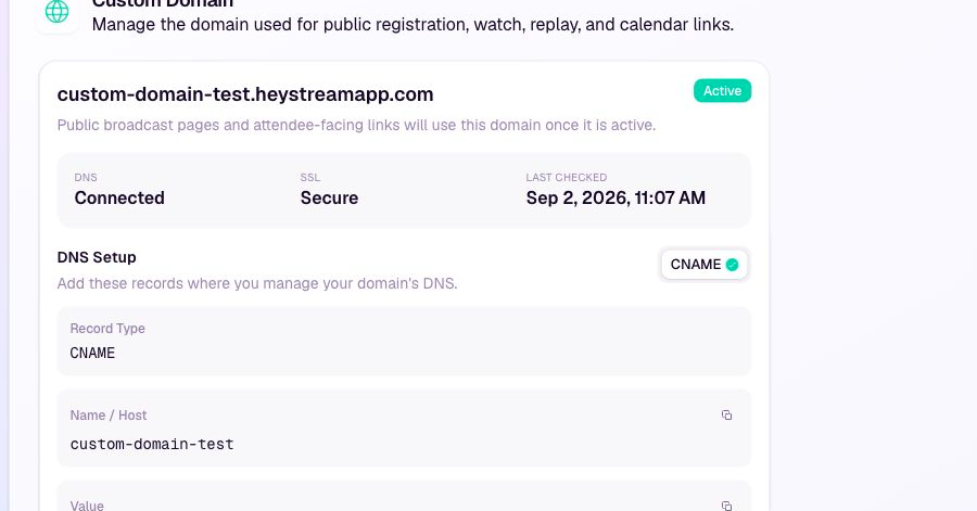 An active custom domain showing connected DNS and secure SSL.