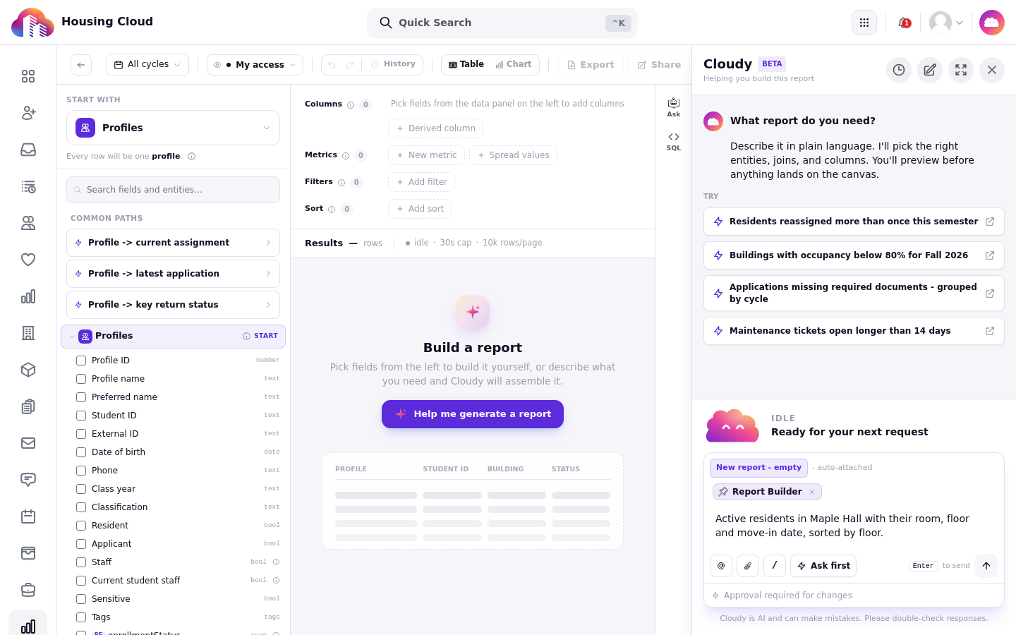 The Cloudy panel with What report do you need and the request typed