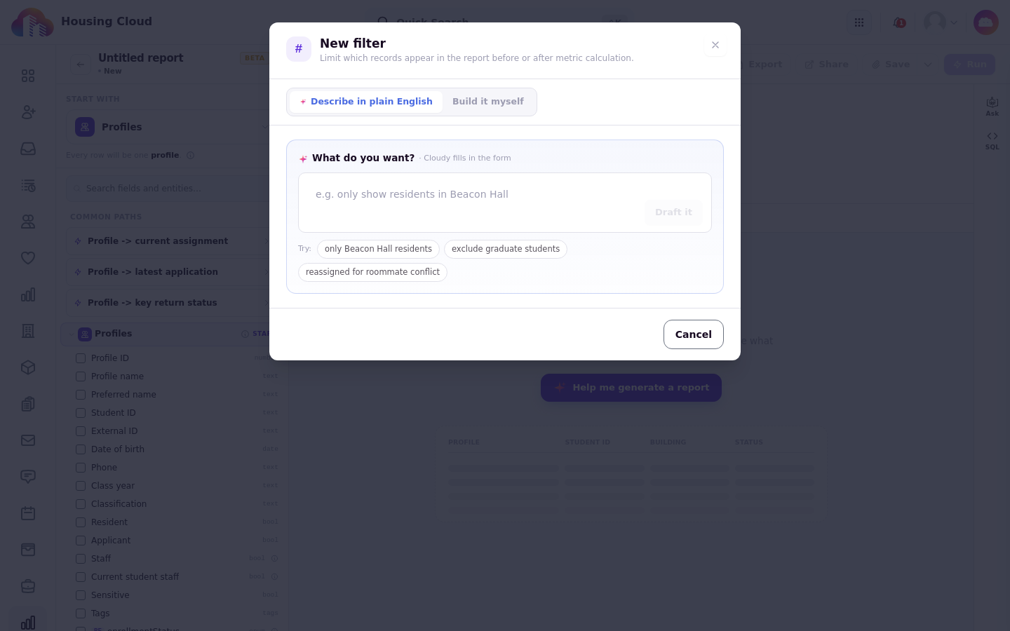 The New filter window with Describe in plain English selected
