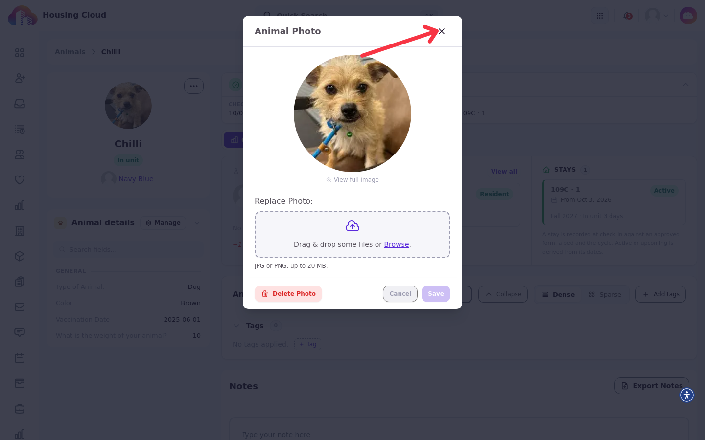 The Animal Photo dialog open on an animal profile, with options to replace or delete the photo