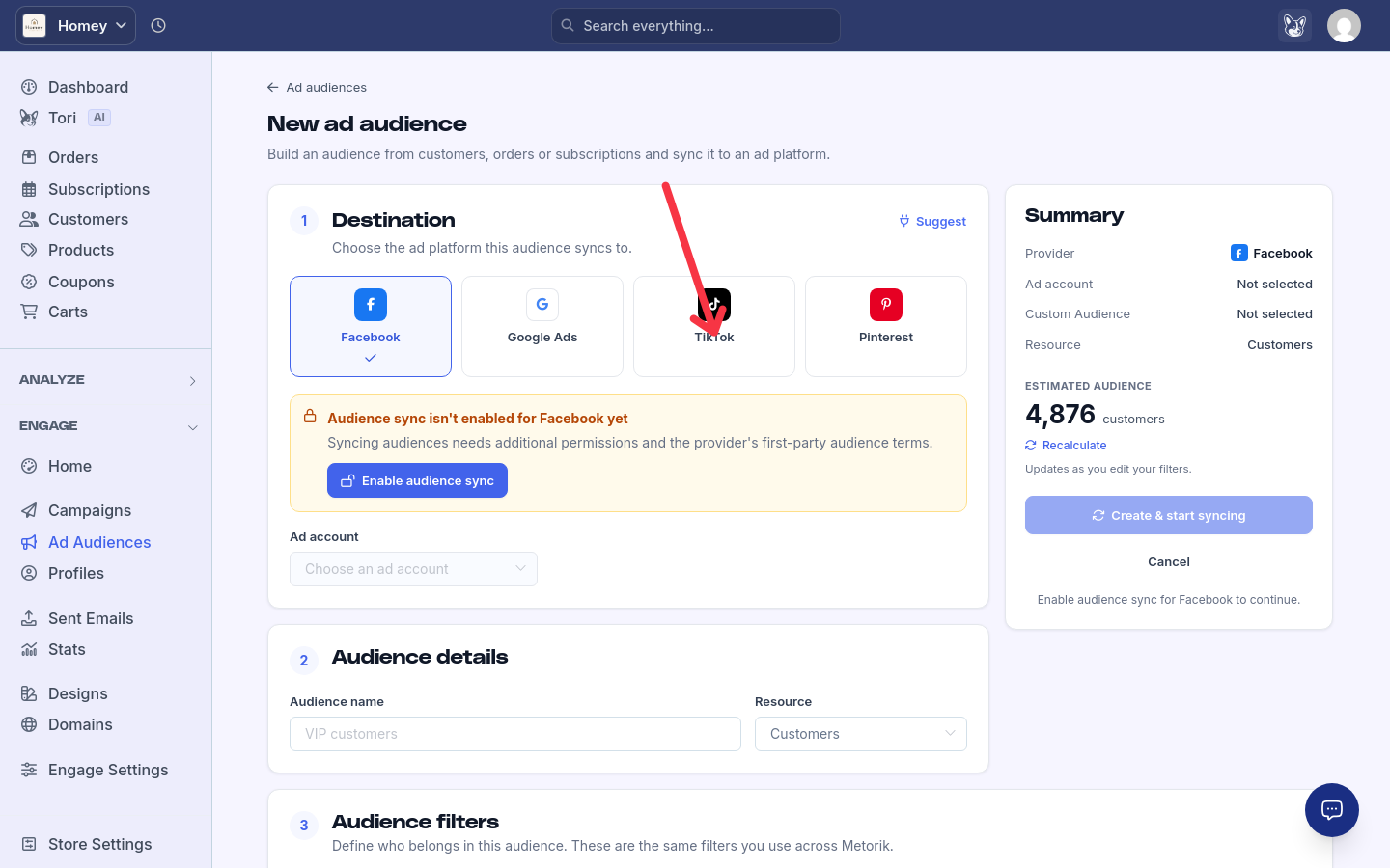 New ad audience page showing Facebook, Google Ads, TikTok, and Pinterest as destination options